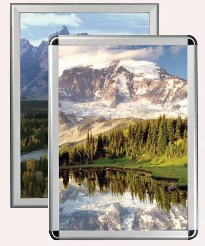 Poster Ebadı -A1 - 60 X 85 cm